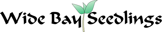 Wide bay seedlings.png