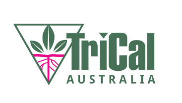 TriCal_logo_social_ profile.png