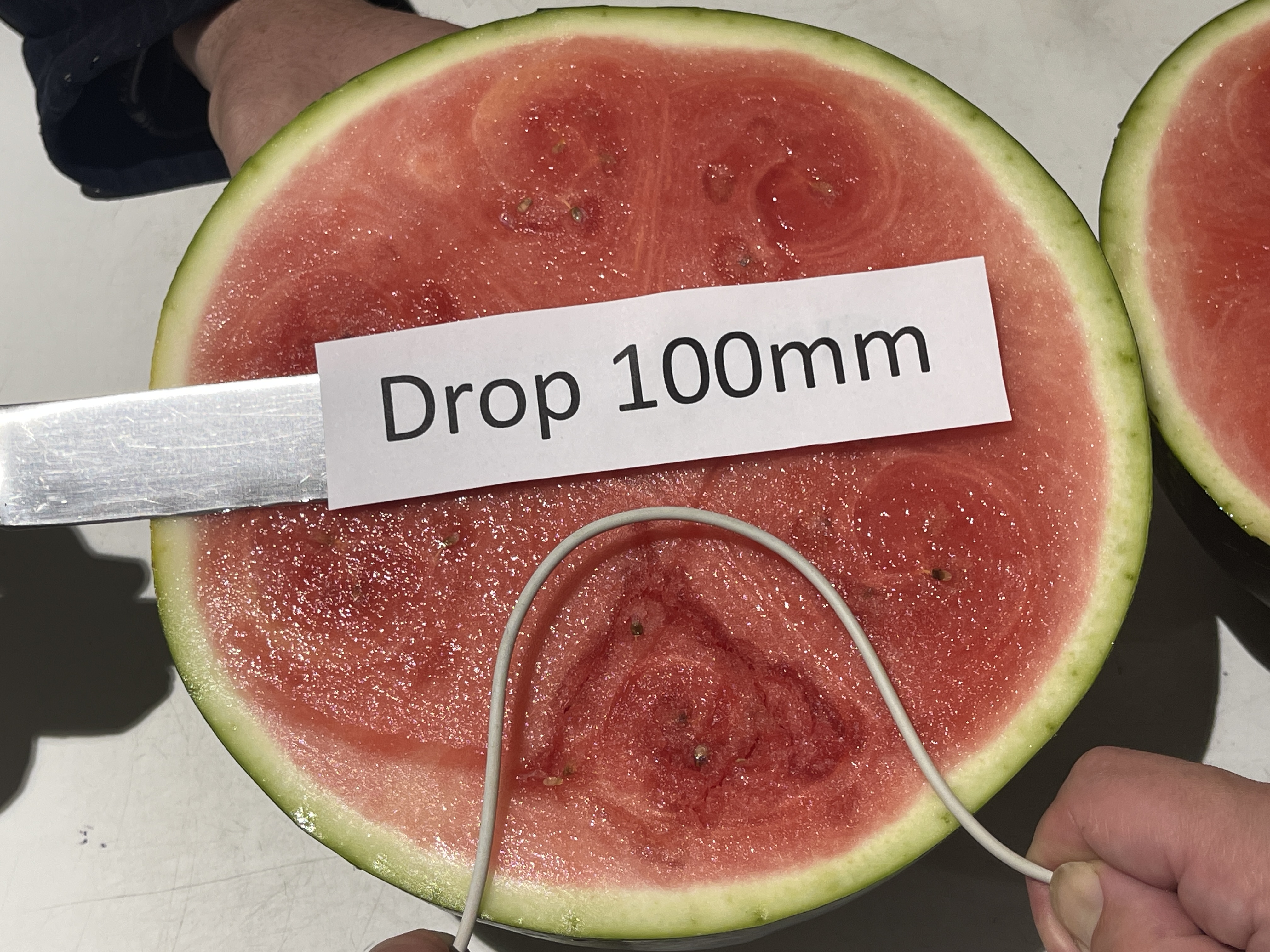 https://www.melonsaustralia.org.au/api/WebsiteCached/DownloadFile?FileGuid=f6e77cd0-f2e6-422b-92d4-15da6cce48fb#EXT=.mp4